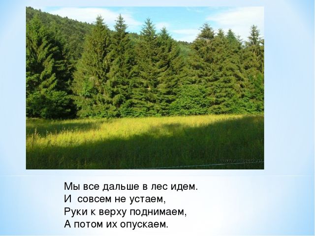 Презентация "Спасем Винни -Пуха"