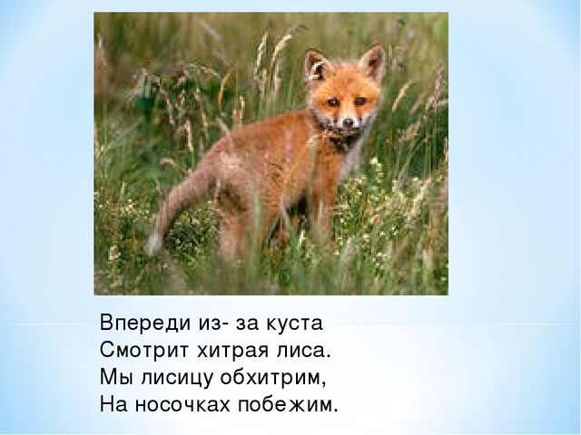 Презентация "Спасем Винни -Пуха"