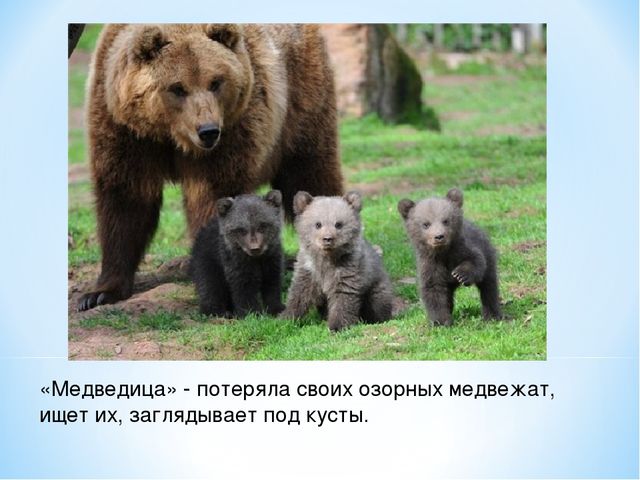 Презентация "Спасем Винни -Пуха"