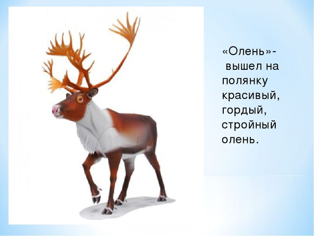 Презентация "Спасем Винни -Пуха"