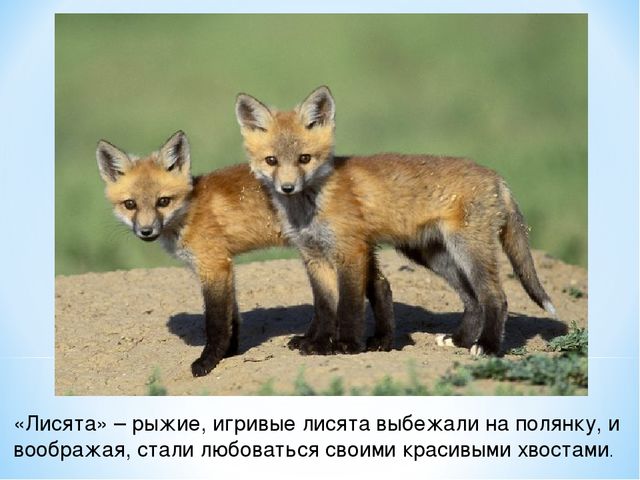Презентация "Спасем Винни -Пуха"
