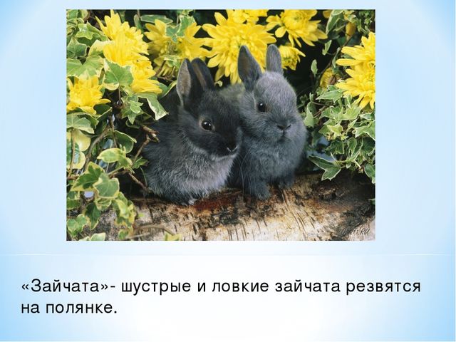 Презентация "Спасем Винни -Пуха"
