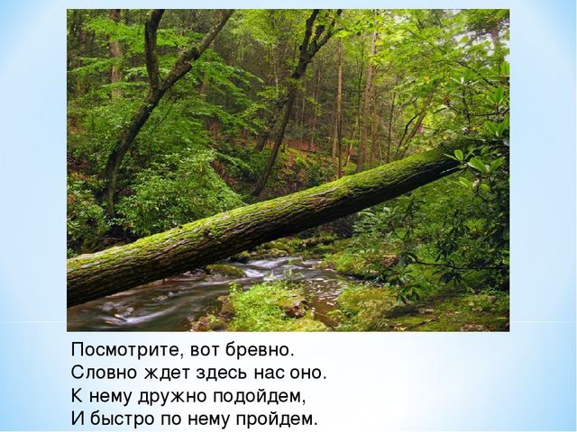 Презентация "Спасем Винни -Пуха"