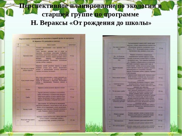 Обобщение опыта: экологическое воспитание дошкольников в современном ДОУ