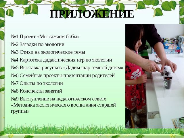 Обобщение опыта: экологическое воспитание дошкольников в современном ДОУ
