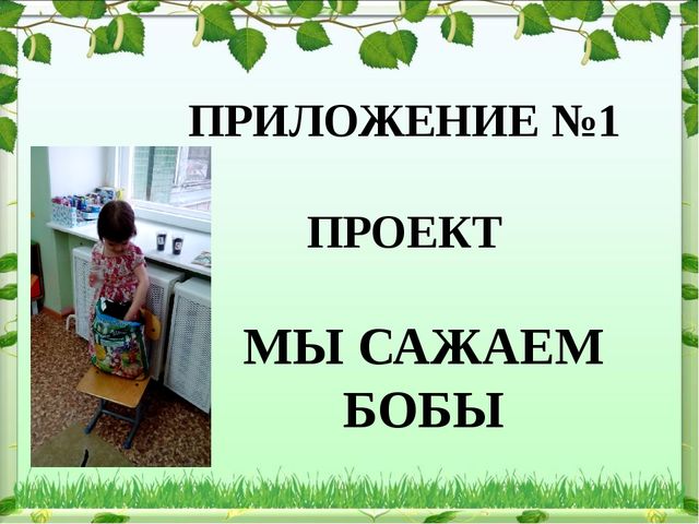 Обобщение опыта: экологическое воспитание дошкольников в современном ДОУ