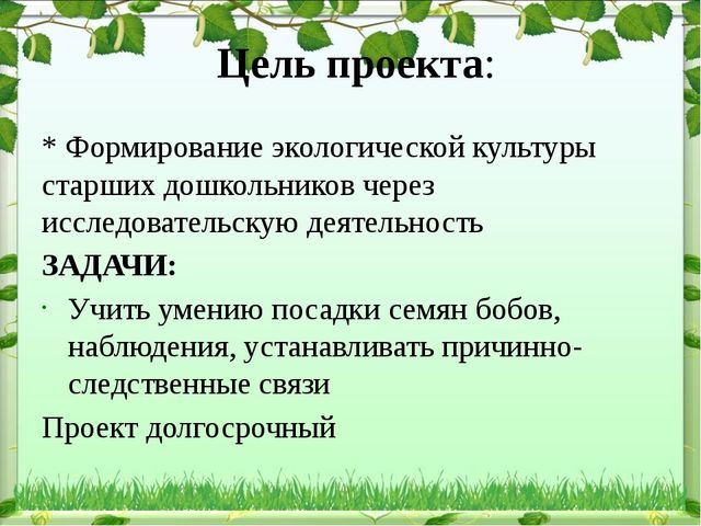 Обобщение опыта: экологическое воспитание дошкольников в современном ДОУ