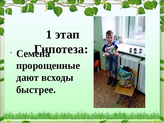 Обобщение опыта: экологическое воспитание дошкольников в современном ДОУ
