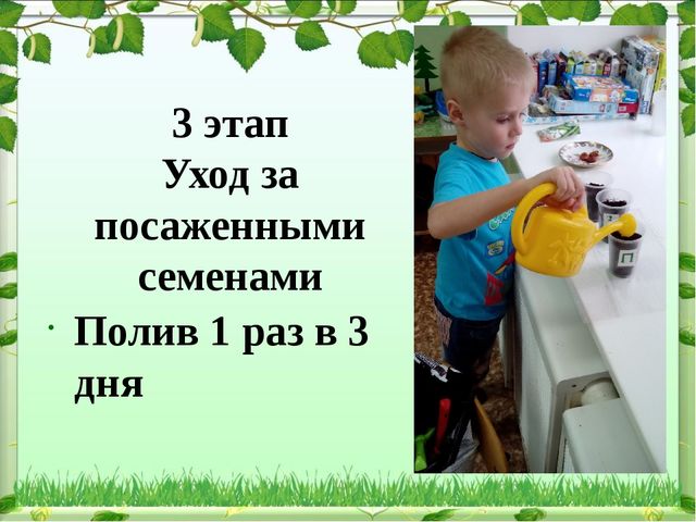 Обобщение опыта: экологическое воспитание дошкольников в современном ДОУ