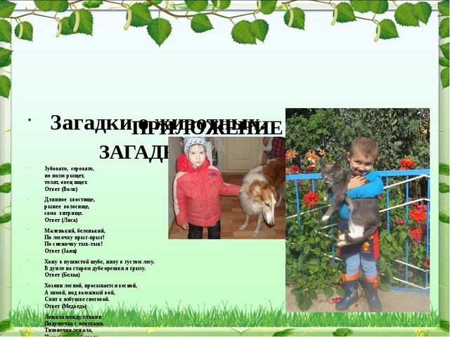 Обобщение опыта: экологическое воспитание дошкольников в современном ДОУ
