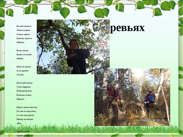 Обобщение опыта: экологическое воспитание дошкольников в современном ДОУ