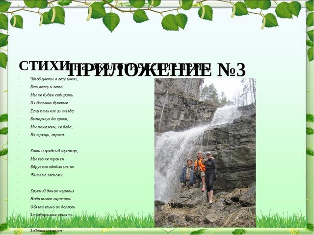 Обобщение опыта: экологическое воспитание дошкольников в современном ДОУ