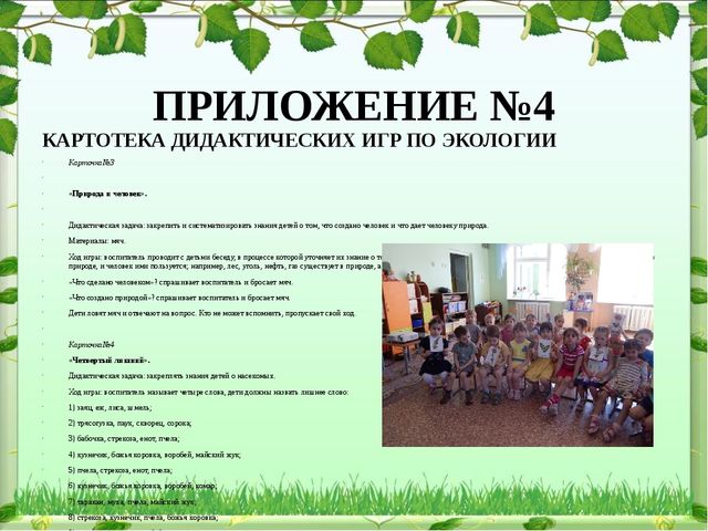 Обобщение опыта: экологическое воспитание дошкольников в современном ДОУ