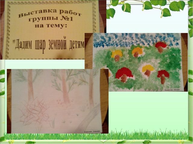 Обобщение опыта: экологическое воспитание дошкольников в современном ДОУ