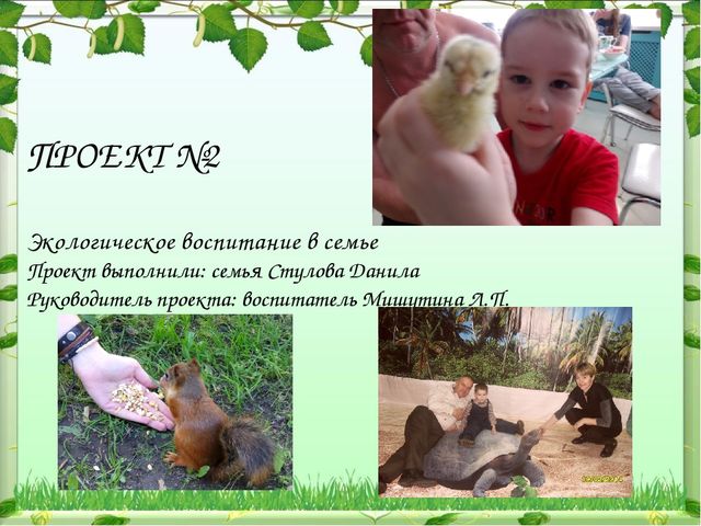 Обобщение опыта: экологическое воспитание дошкольников в современном ДОУ