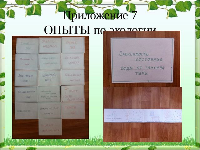Обобщение опыта: экологическое воспитание дошкольников в современном ДОУ