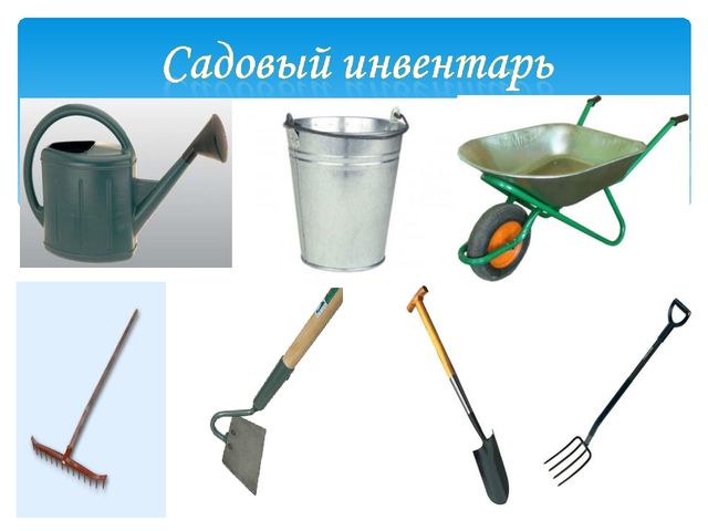 Презентация на тему: "Чем заняты люди осенью?"
