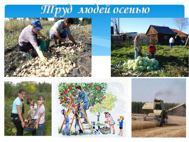 Презентация на тему: "Чем заняты люди осенью?"