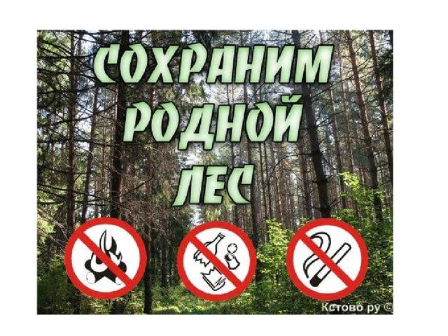 Презентация к занятию "Лес - многоэтажный дом"