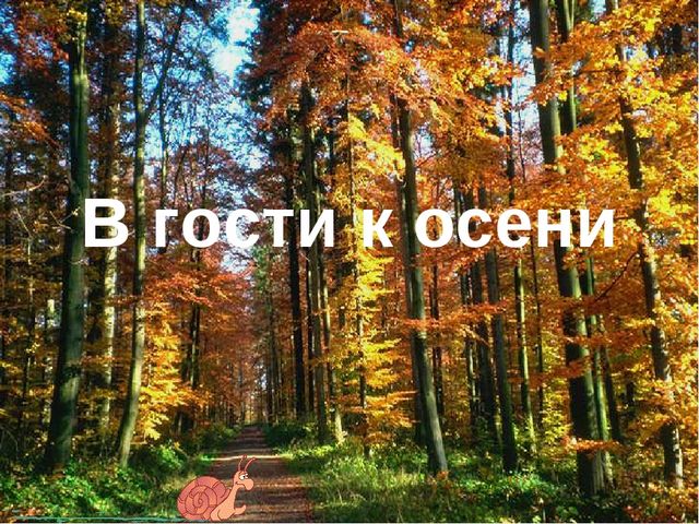 Презентация на тему: " В гости к осени "
