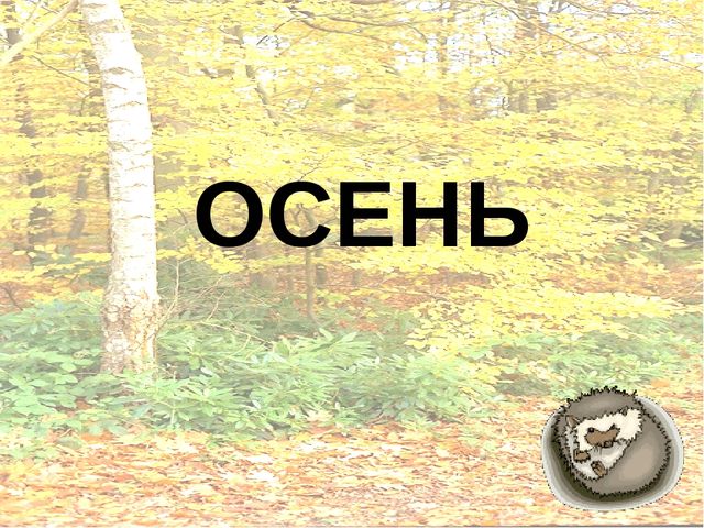 Презентация на тему: " В гости к осени "