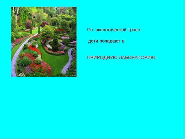 Презентация на тему: "Современный детский сад"
