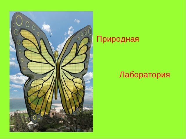 Презентация на тему: "Современный детский сад"