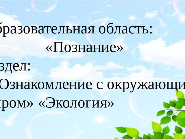 Призентация "Мы друзья природы"