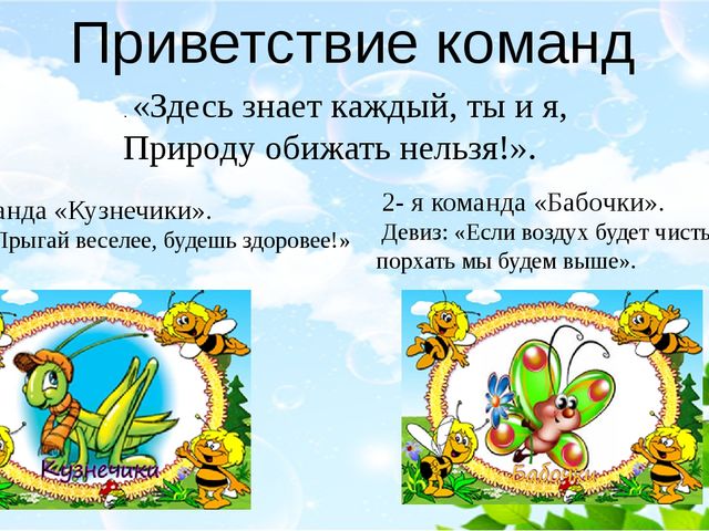 Девиз для экологической команды. Название экологического отряда. Название экологической команды. Девиз экологии для детей. Название команды.