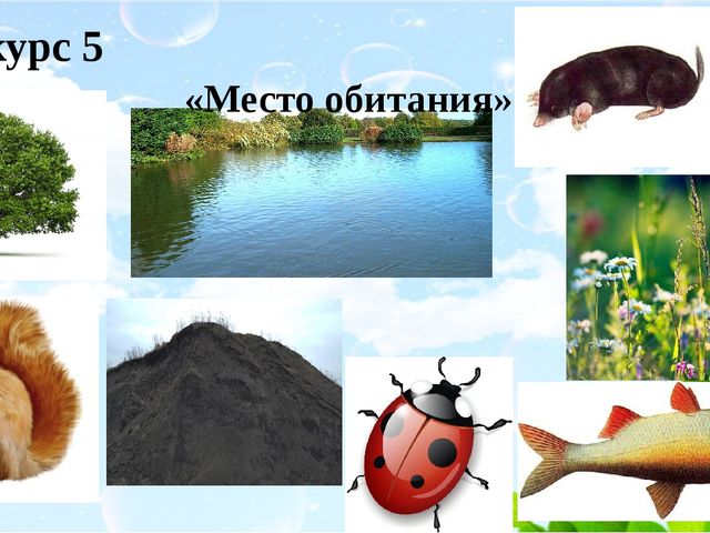 Призентация "Мы друзья природы"