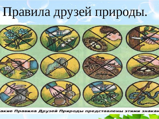 Призентация "Мы друзья природы"