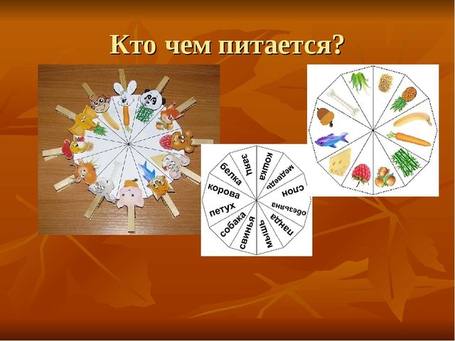 Презентация по прищепкотерапии (СДОУ)