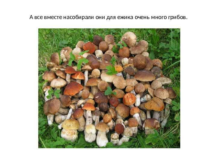 Презентация по математике на тему: "Один.Много" (для дошкольников)