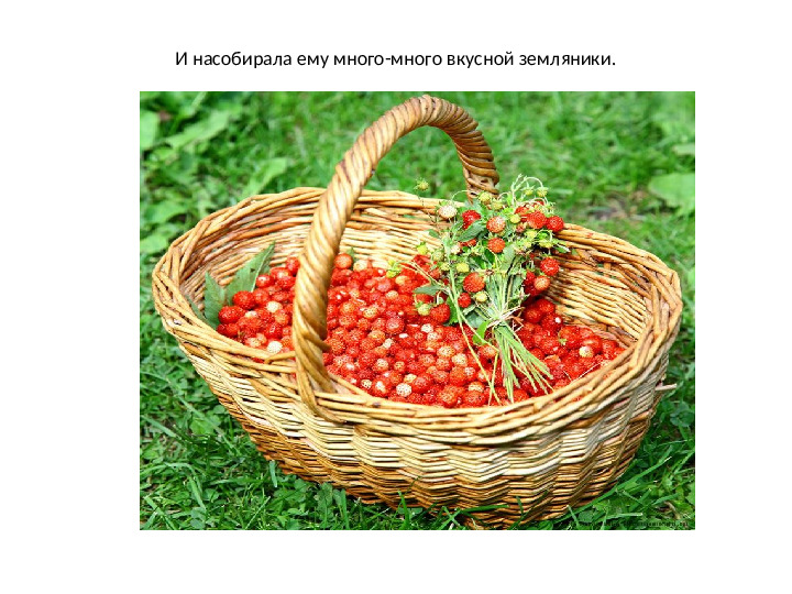 Презентация по математике на тему: "Один.Много" (для дошкольников)