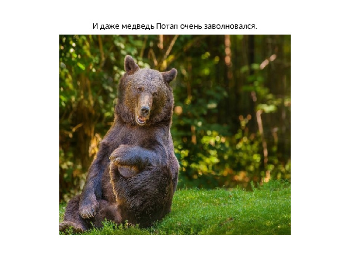 Презентация по математике на тему: "Один.Много" (для дошкольников)