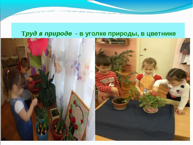 Презентация на МО для воспитателей ДОУ