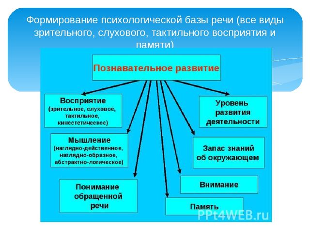 Поддержка и развитие детей с тяжёлыми нарушениями речи в коррекционном детском саду