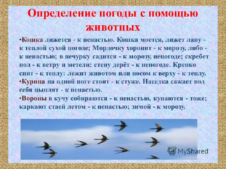 Презентация .Зеленые тропинки.Плешаков.Тема "Народные приметы"
