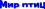 Shape6