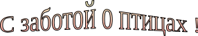 Shape8