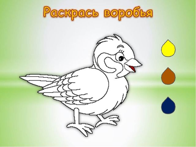 Презентация «Воробей» (для детей старшего дошкольного возраста (5-7 лет)