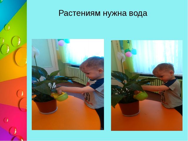 Презентация "Познавательно - исследовательская деятельность в 1 младшей группе "Секреты лягушки-квакушки"