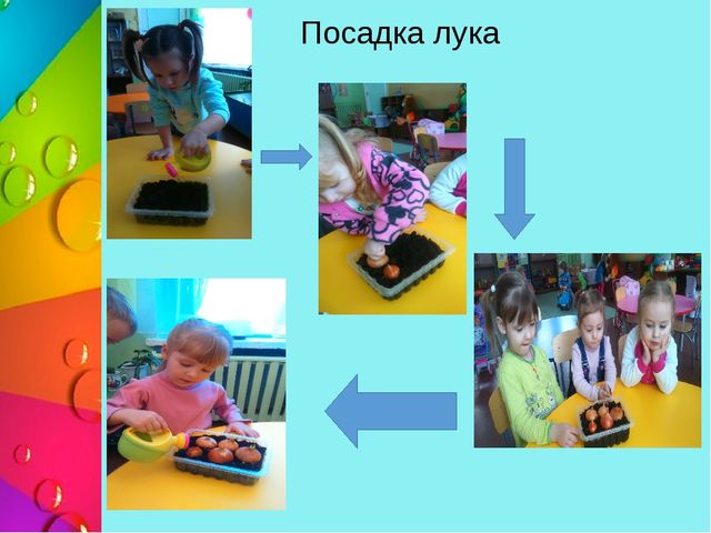 Презентация "Познавательно - исследовательская деятельность в 1 младшей группе "Секреты лягушки-квакушки"