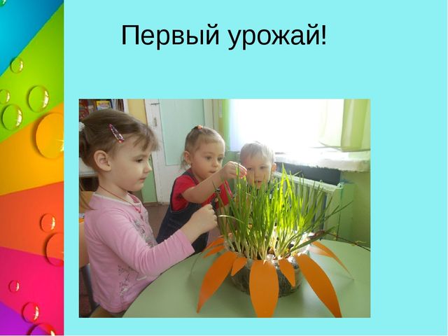 Презентация "Познавательно - исследовательская деятельность в 1 младшей группе "Секреты лягушки-квакушки"