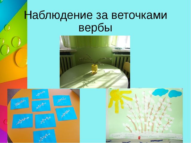 Презентация "Познавательно - исследовательская деятельность в 1 младшей группе "Секреты лягушки-квакушки"