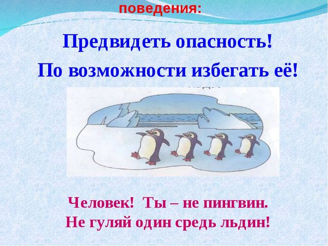 Презентация на тему "Правила безопасного поведения на льду"