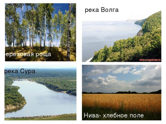 Презентация "Чувашия - мой край"