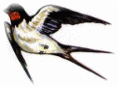 Picture 1