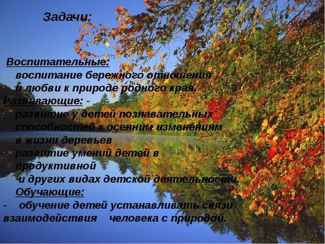 Исследовательский проект "Деревья осенью"