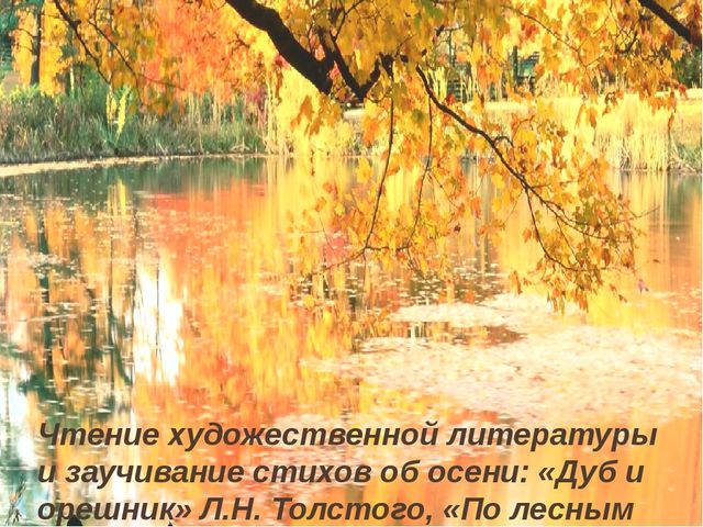 Исследовательский проект "Деревья осенью"